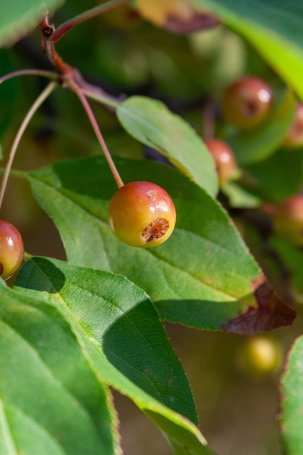 实现了与周 实现了与周