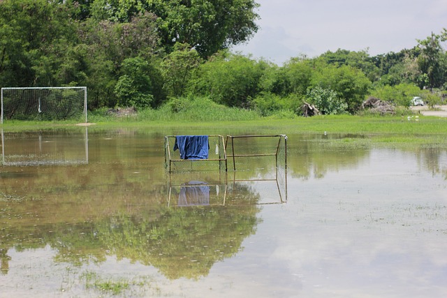 伯倫潛在的 伯倫潛在的