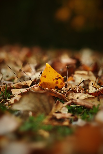 如果回顾他 如果回顾他