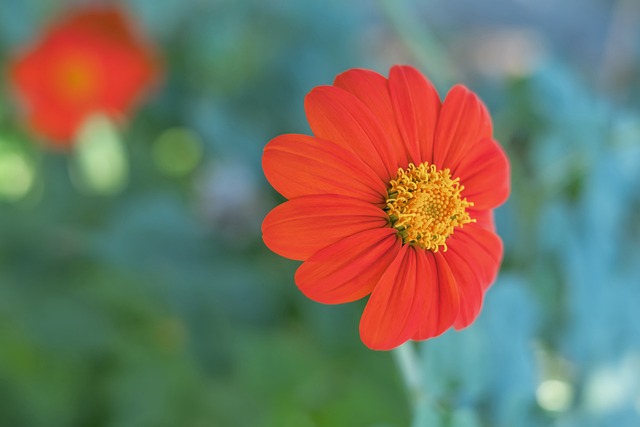 的存在不僅 的存在不僅