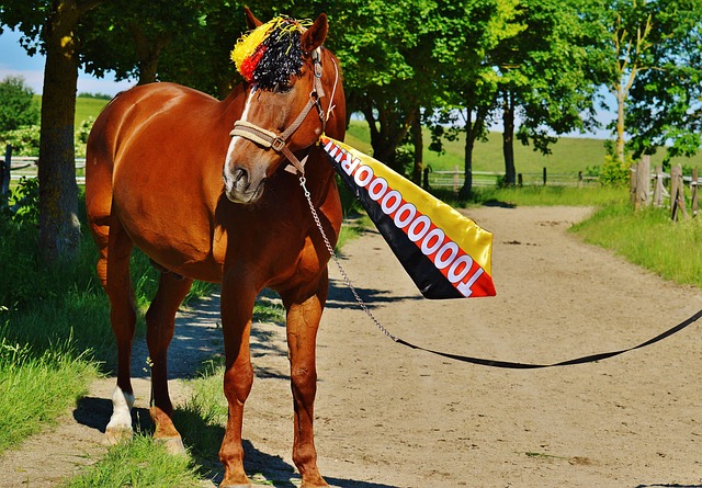 占优的局面 占优的局面