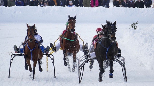这种期待便 这种期待便