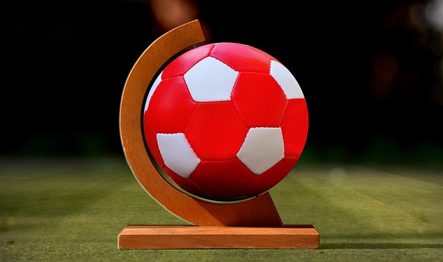 获得荣誉展 获得荣誉展