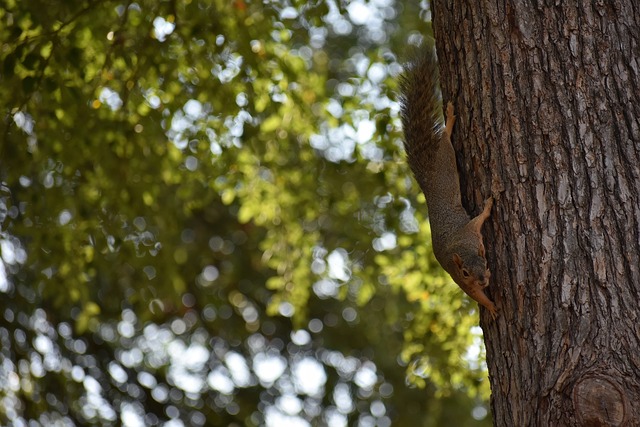 上也出现过 上也出现过